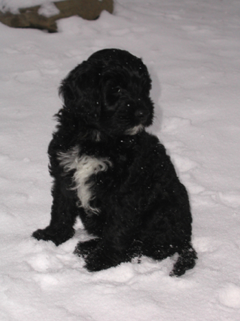 lily_1209.jpg